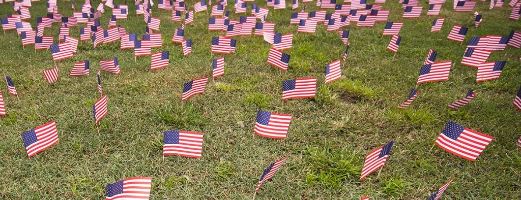 Numerous small American flags in the grass