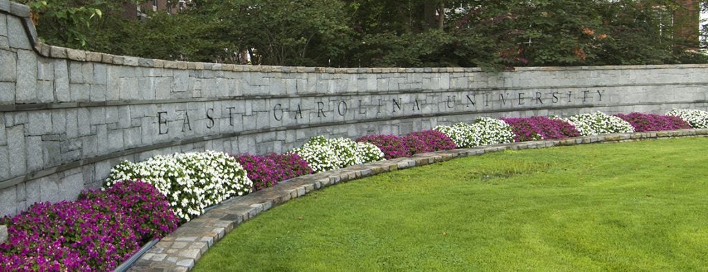 Stone East Carolina University sign with purple and white mums in bloom.