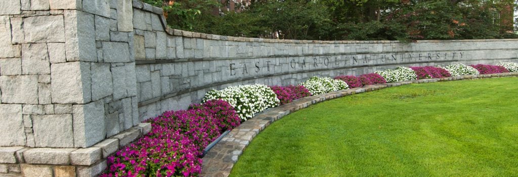 Stone East Carolina University sign with purple and white mums in bloom.