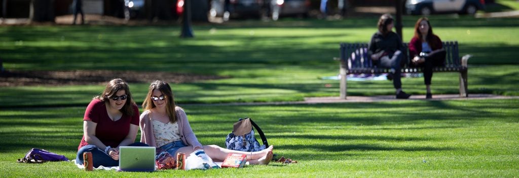 Two students sitting on a blanket in the grass looking at a laptop.